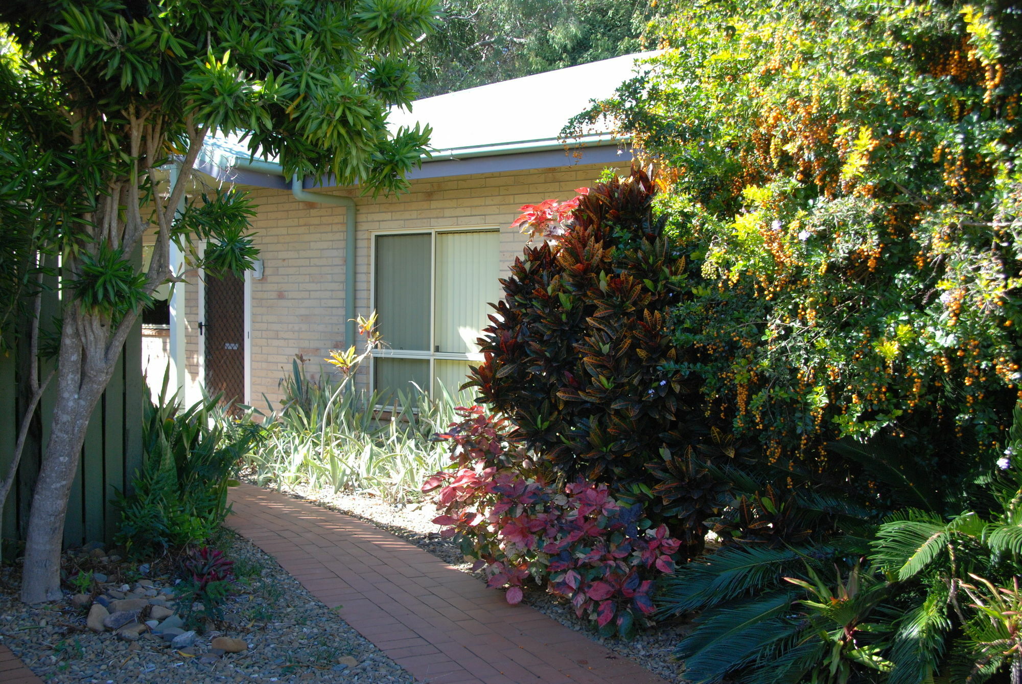 Agnes Palms Accommodation Agnes Water Exterior foto